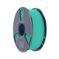 SUNLU PETG High Speed - Mint Green