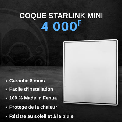 Starlink - Protection d'antenne Mini