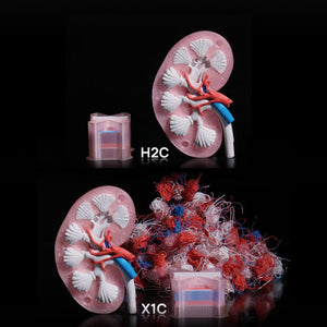 Bambu Lab - H2C Combo
